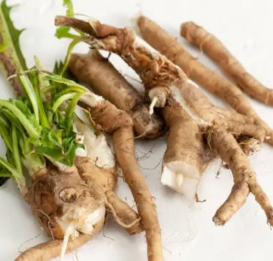 Chicory Root Inulin raw ingredient
